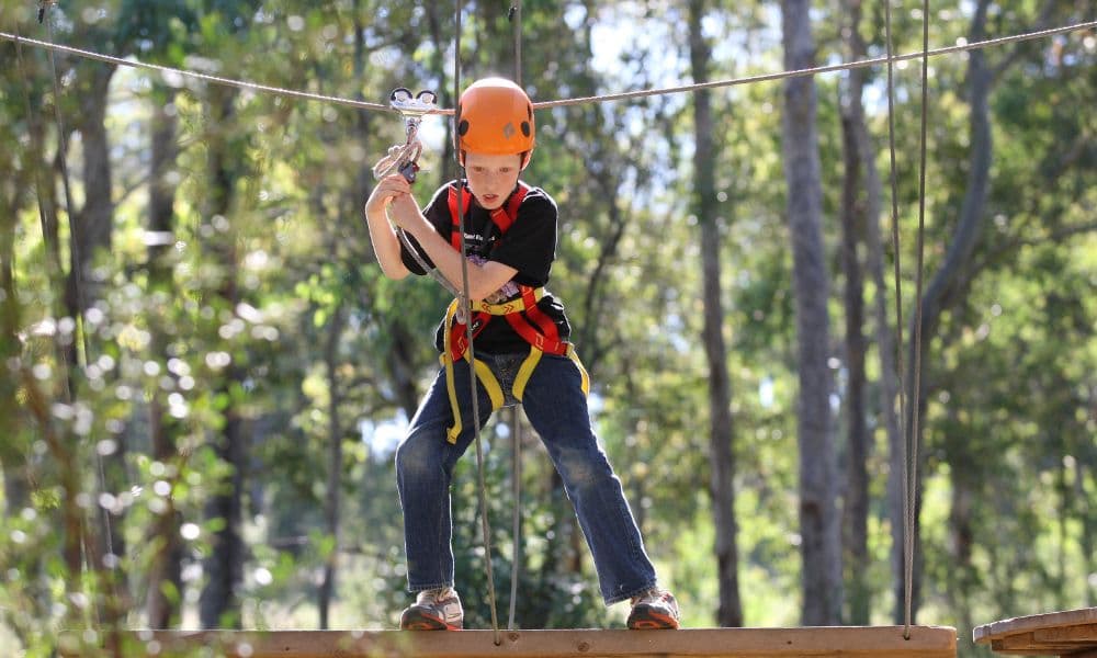 Treetops Adventure Western Sydney - 2.5 Hours