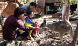 WILD LIFE Sydney Zoo Entry Tickets