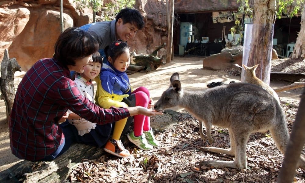 WILD LIFE Sydney Zoo Entry Tickets
