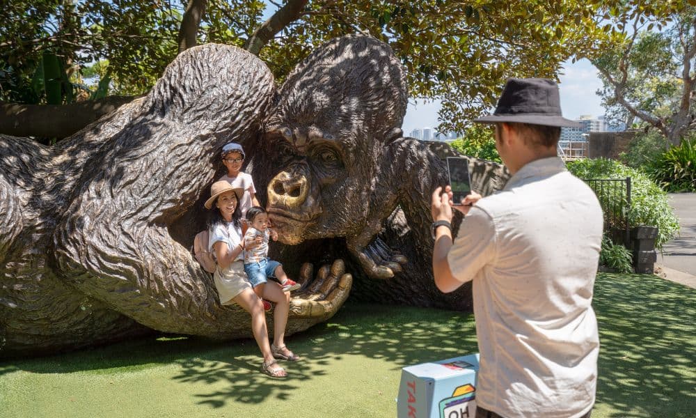 Taronga Zoo Entry and 2 Day Harbour Ferry Pass