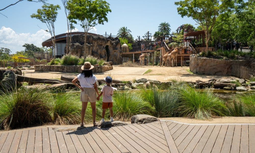 Taronga Zoo Entry and 2 Day Harbour Ferry Pass