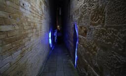 Spirit of the Rocks Sydney's Dark Past & Best Insta Spots Tour
