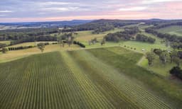 Southern Highlands Scenic Joy Flight - 90 Minutes