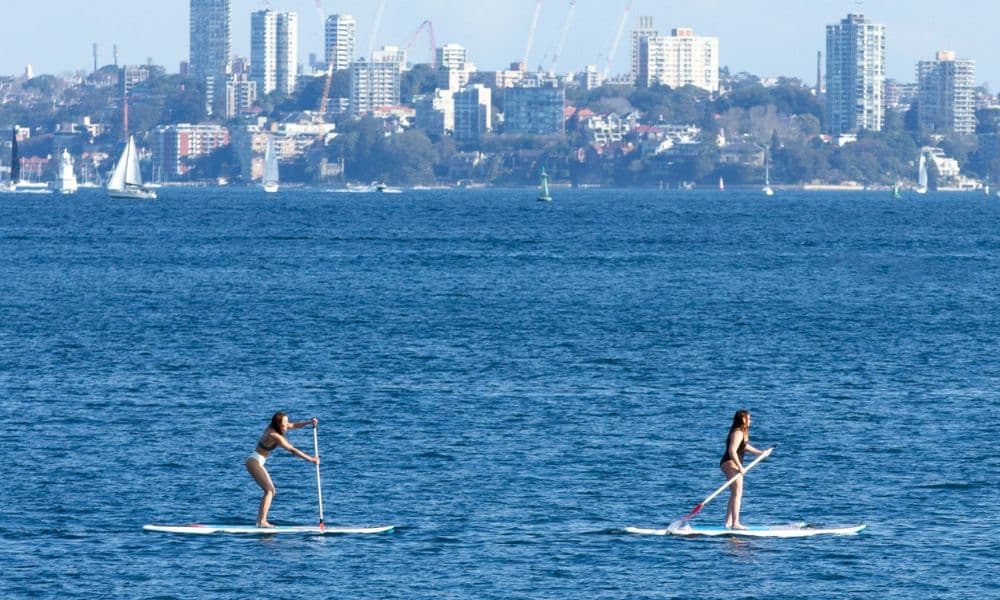 Sydney Private Stand Up Paddle Boarding Lesson And Hire - Manly