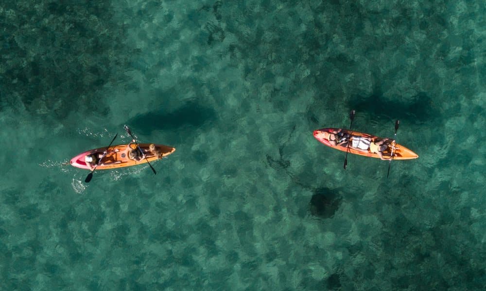  Manly Double Kayak Hire - For 2