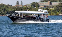 Sydney Whale Watching Speed Boat Tour - 2 Hours
