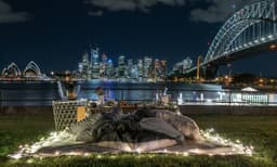  Sydney Harbour Luxury Private Picnic Experience