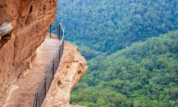 Blue Mountains Full Day Tour with Transfers