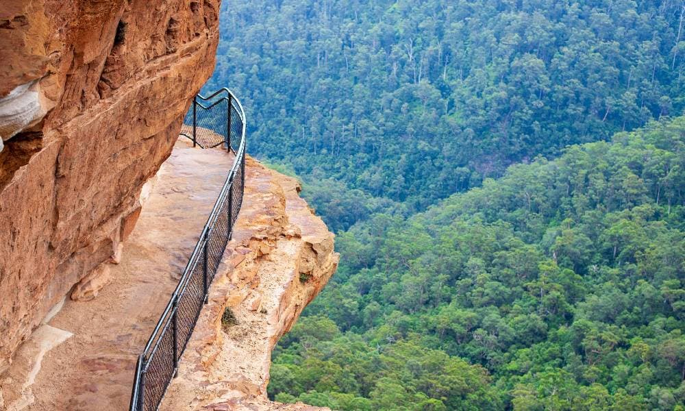 Blue Mountains Full Day Tour with Transfers
