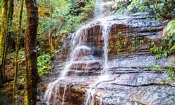 Blue Mountains Full Day Tour with Transfers
