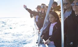 Sydney Intimate Whale Watching Cruise - 2.5 Hours