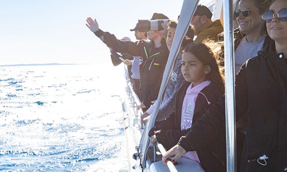 Sydney Intimate Whale Watching Cruise - 2.5 Hours