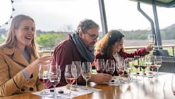 Activity Hunter Valley Wine Tasting Tour