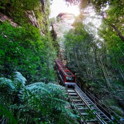 Blue Mountains Full Day Tour with Scenic World Pass