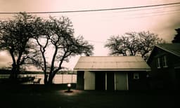 Sydney Quarantine Station Ghost Adventure - 2.5 Hours