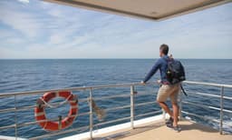 Sydney 2 Hour Whale Watching Express Cruise