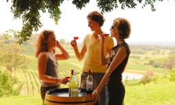 Boutique Hunter Valley Wine Tasting Tour