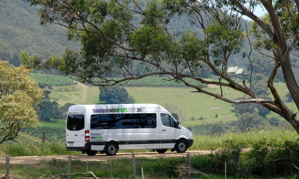 Boutique Hunter Valley Wine Tasting Tour