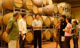 Boutique Hunter Valley Wine Tasting Tour