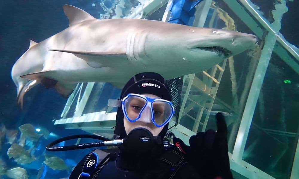 Sydney Aquarium Shark Dive Xtreme