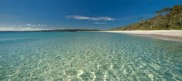 Jervis Bay Beach and Koalas