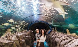 SEA LIFE Sydney Aquarium General Admission