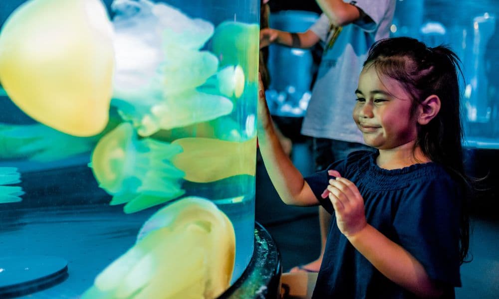 SEA LIFE Sydney Aquarium General Admission