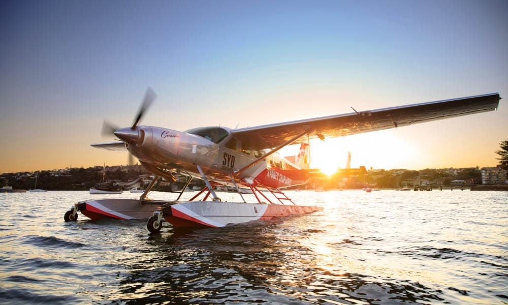 Beach Picnic on Shark Island including Seaplane Flight
