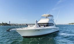 Sydney Harbour Long Lunch Cruise