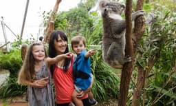 Sydney Attractions Pass - 2 Attractions
