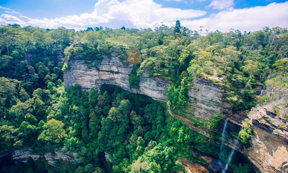 Deluxe Blue Mountains and Sydney Zoo Tour - Full Day