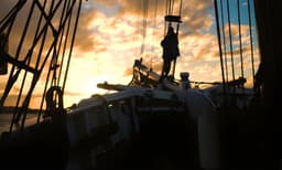 Sydney Harbour Tall Ship Twilight Dinner Cruise