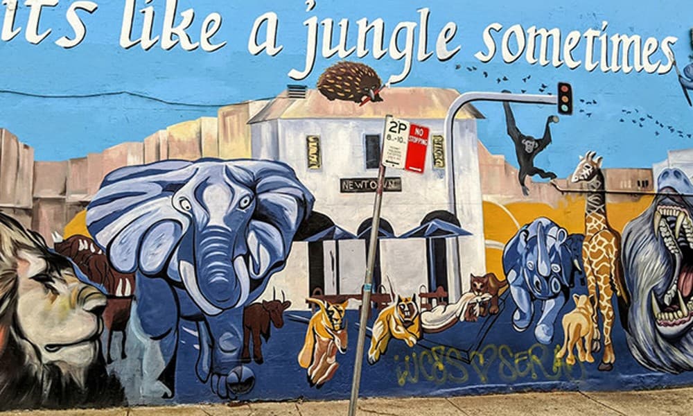 Newtown Street Art and Food Tour - 3 Hours