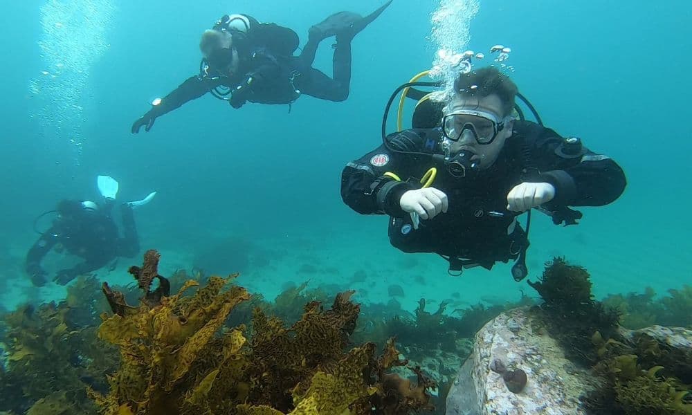 Bondi Introductory Scuba Dive Session - 4 Hours