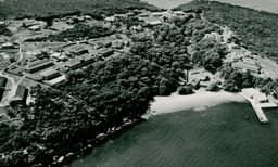 Sydney Quarantine Station Historic Tour - 1 Hour