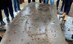 Aboriginal Heritage Sydney Walking Tour - 90 Minutes