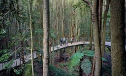 Blue Mountains Scenic World Pass