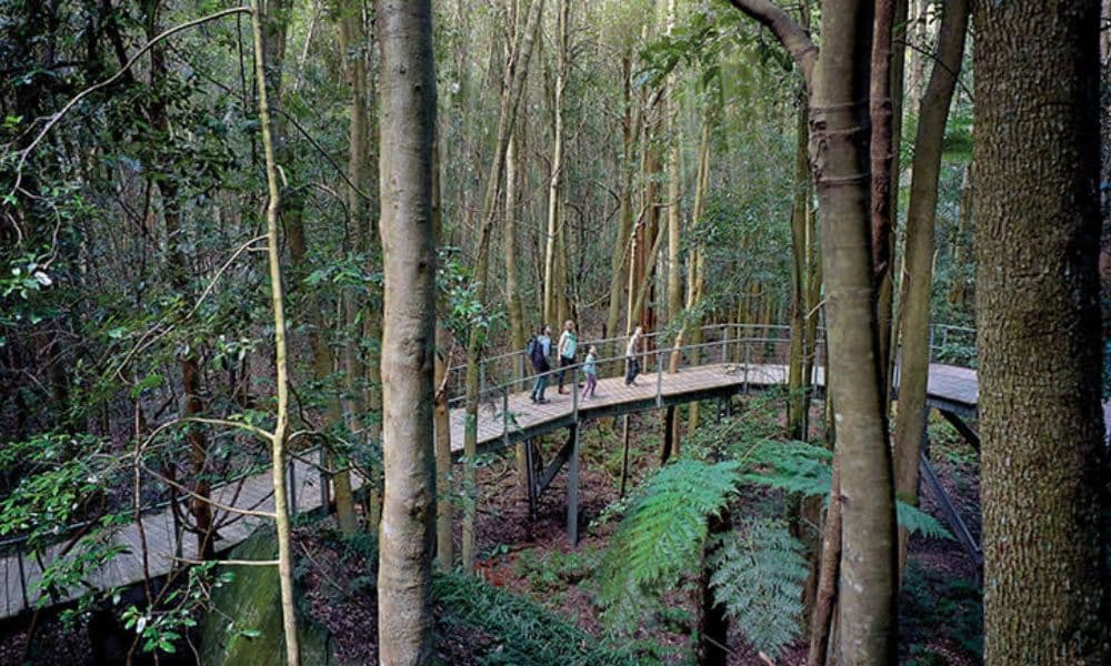 Blue Mountains Scenic World Pass