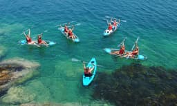 Manly Guided Kayak Tour with Snacks and Drinks