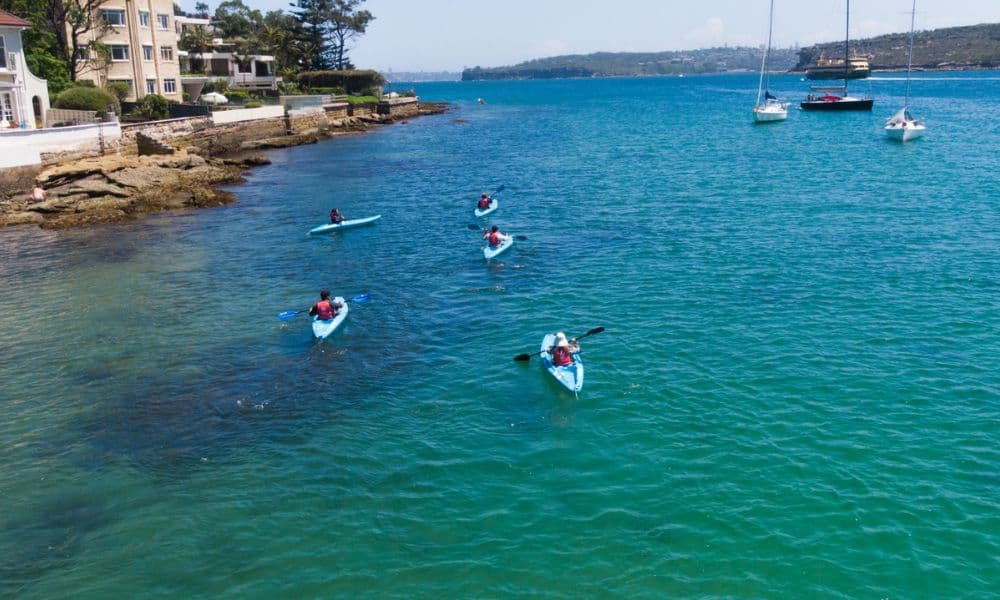 Manly Guided Kayak Tour with Snacks and Drinks