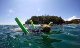 Manly Snorkelling Tour
