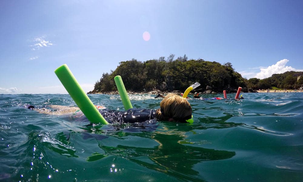 Manly Snorkelling Tour