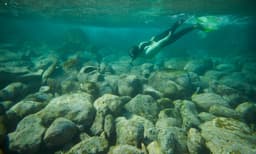 Manly Snorkelling Tour