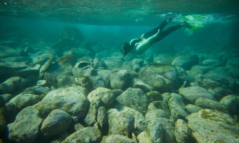 Manly Snorkelling Tour