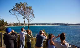 Manly Snorkelling Tour