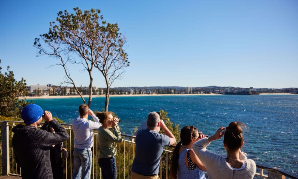 Manly Snorkelling Tour