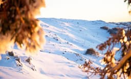 Thredbo Snow Tour From Sydney - 1 Day