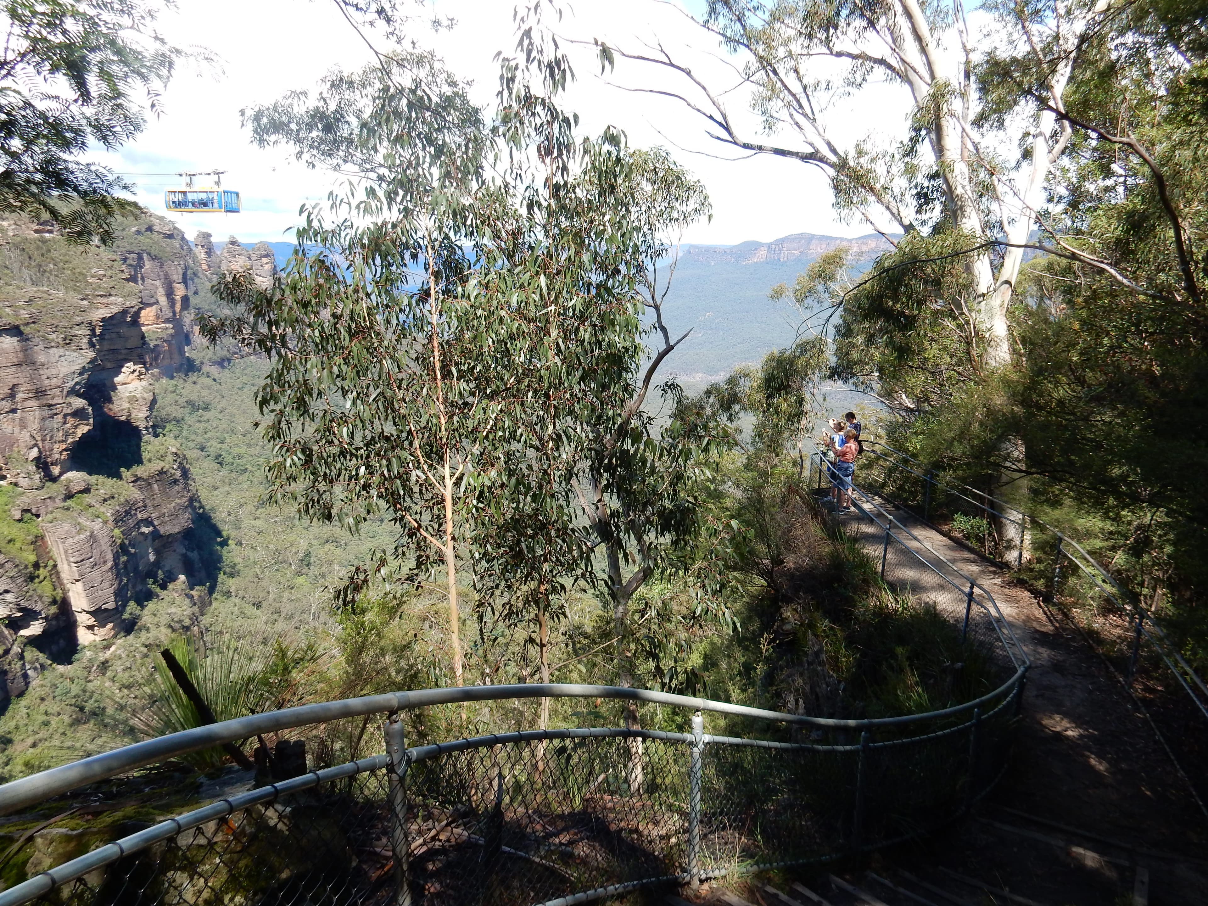 Activity Blue Mountains Nature and Wildlife Tour