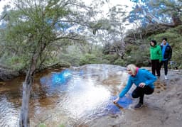 Activity Blue Mountains Nature and Wildlife Tour