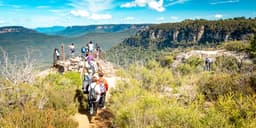 Activity Blue Mountains Nature and Wildlife Tour